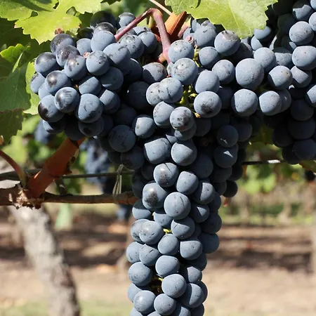 Le Loft - Chateau Le Noble *