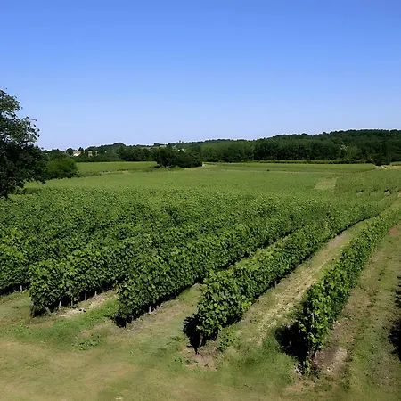 Le Loft - Chateau Le Noble Vakantiehuis Saint-Germain-du-Puch