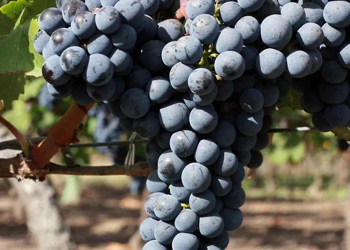 Le Loft - Chateau Le Noble *