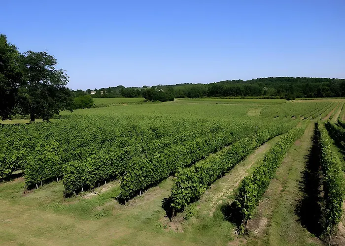 Le Loft - Chateau Le Noble Semesterbostad Saint-Germain-du-Puch